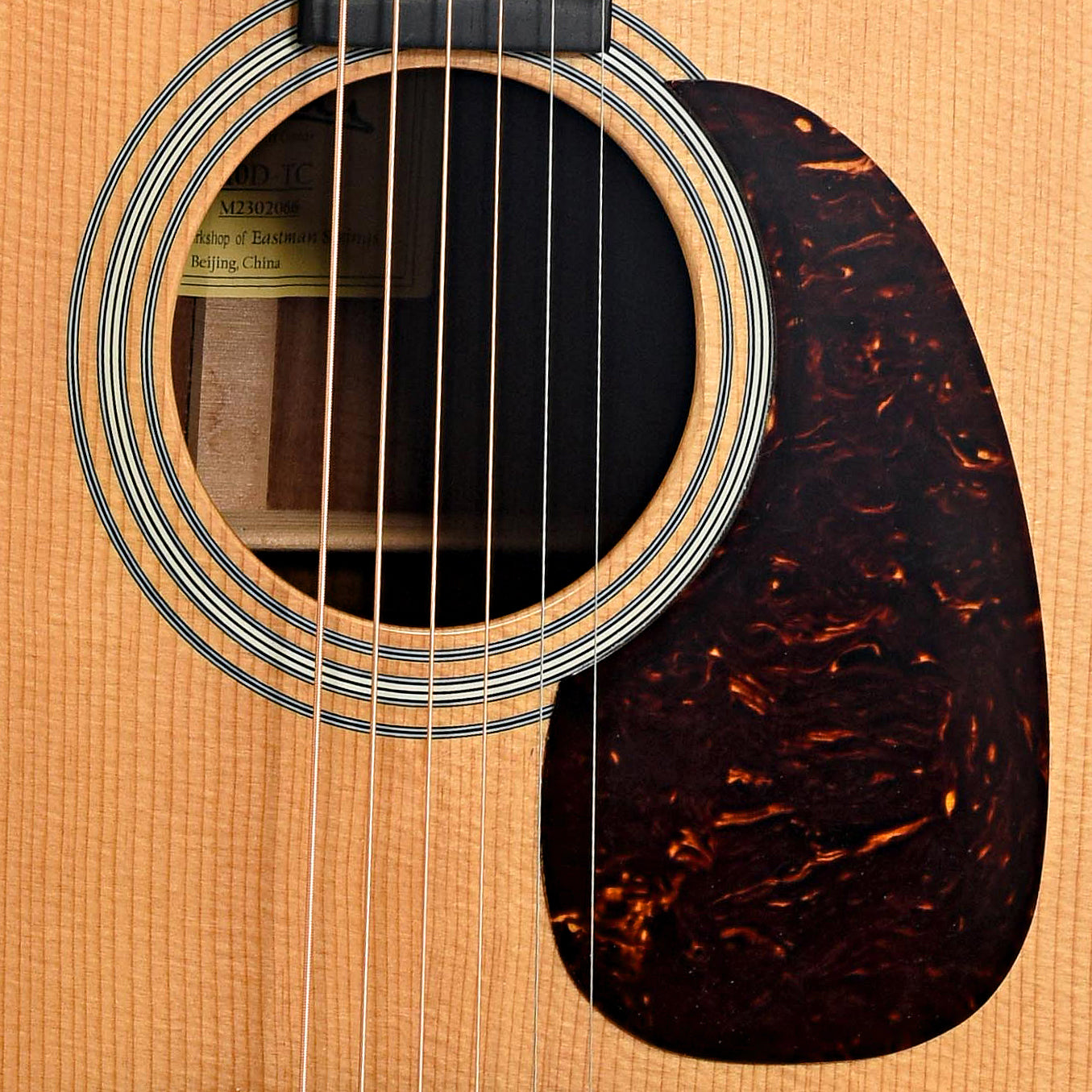 Soundhole of Eastman E10D-TC Acoustic Guitar 