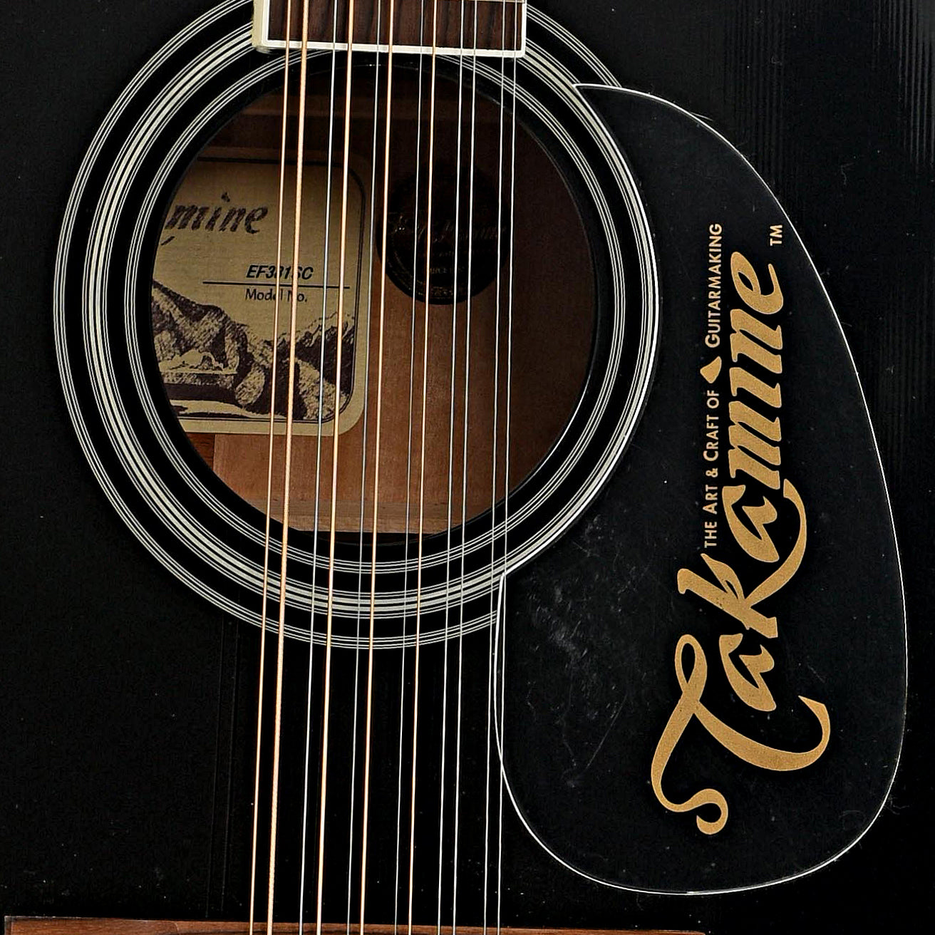 Soundhole of Takamine EF381SC 12-String Acoustic-Electric Guitar