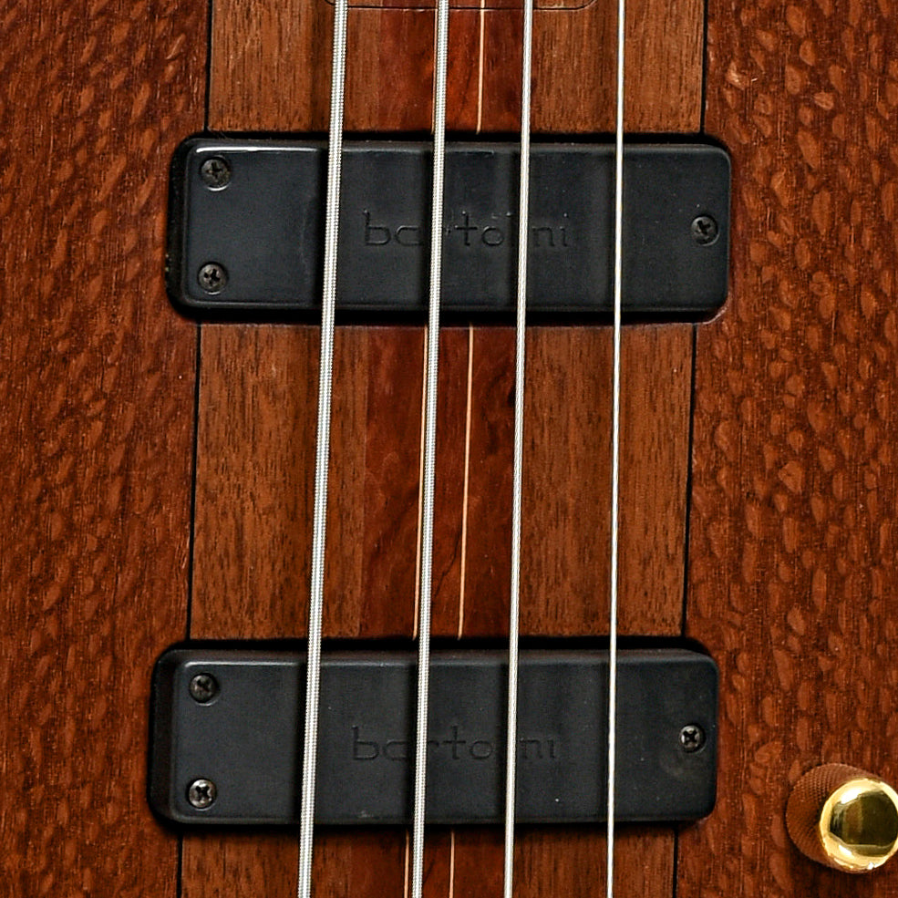 Pickups of Tobias Classic Electric Bass Guitar