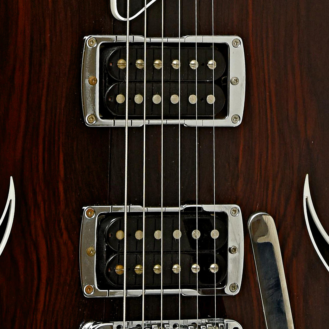 PIckups of Taylor T3/B Hollowbody Electric Guitar