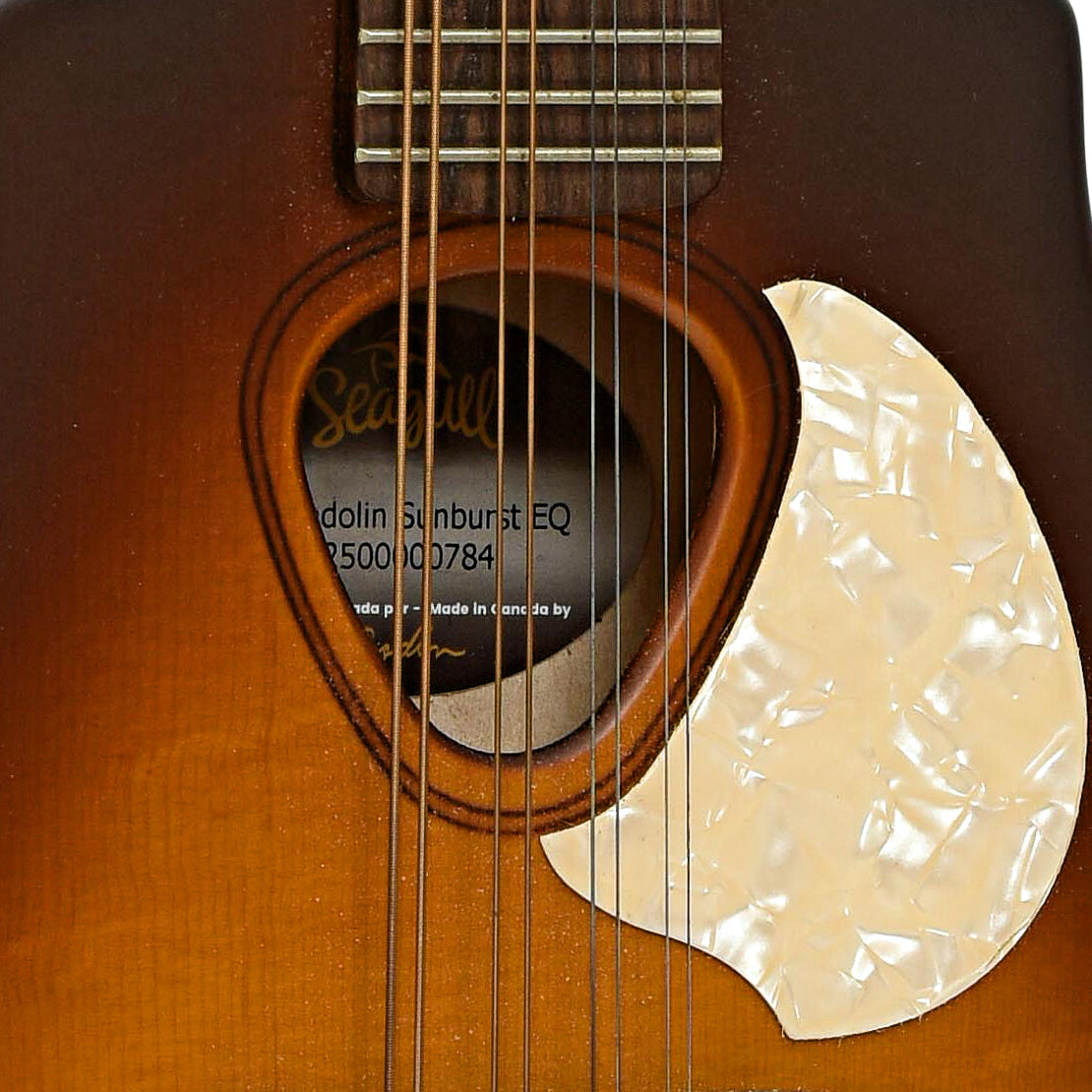 Soundhole of Seagull S8 Mandolin