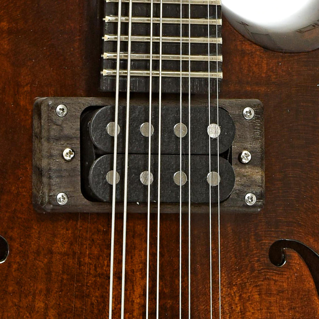 Pickup of Eastman ER-M Electric Mandolin