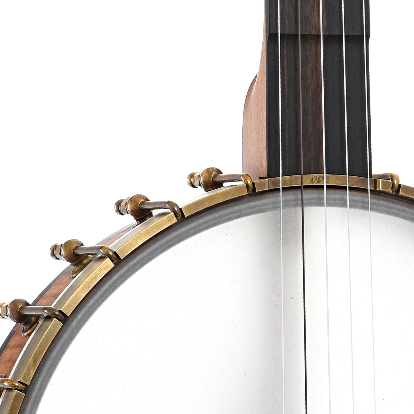 Front body and neck join of of Ode Magician 12" Fretless Openback Banjo Nylgut Strings