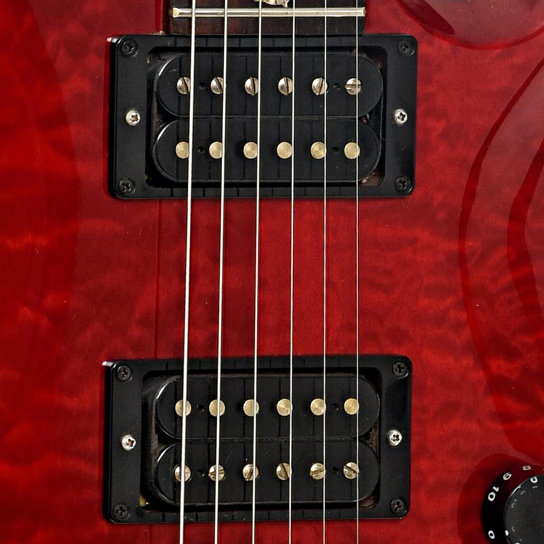 Pickups of  PRS Custom 24 Electric Guitar 