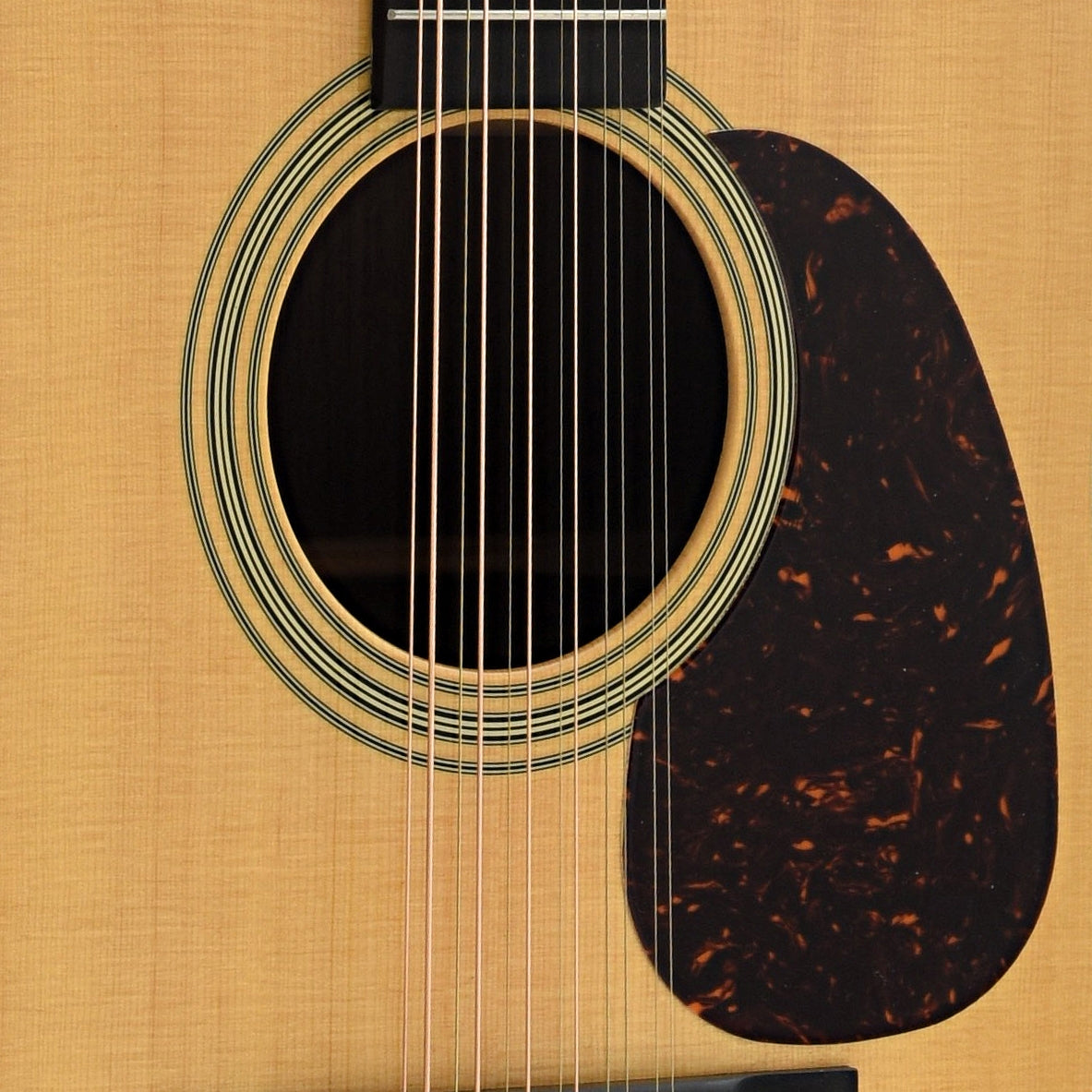 Soundhole and Pickguard of Martin HD12-28 12-String Guitar, 2024