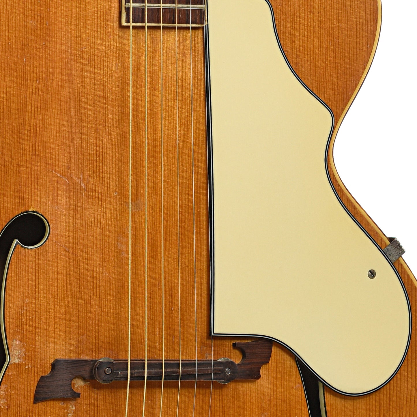 Pickguard of Kay K-11 Rhythm Special