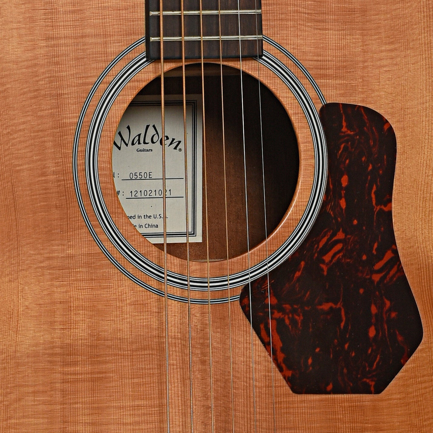 Sound hole of Walden 0550E Acoustic Guitar