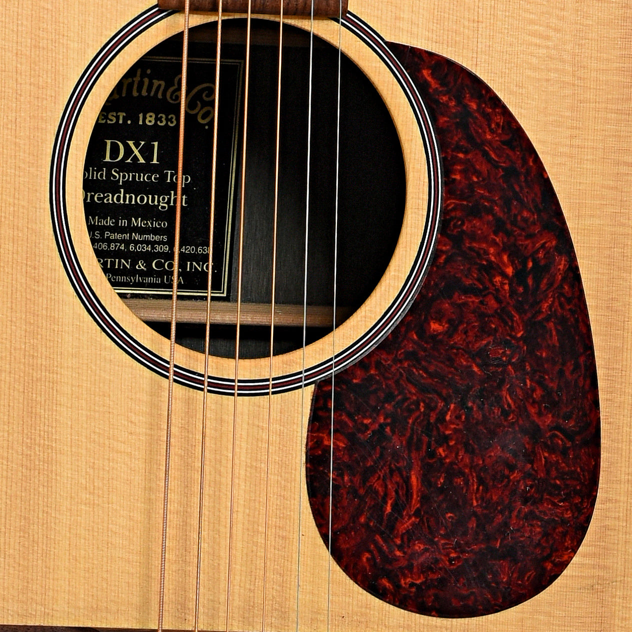 Soundhole of Martin DX1 Acoustic Guitar