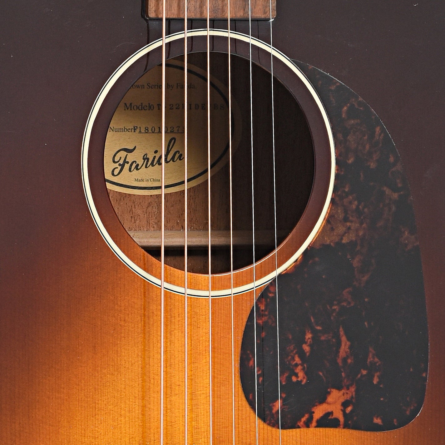 Sound hole of Farida OT-22W Acoustic Guitar (2020)