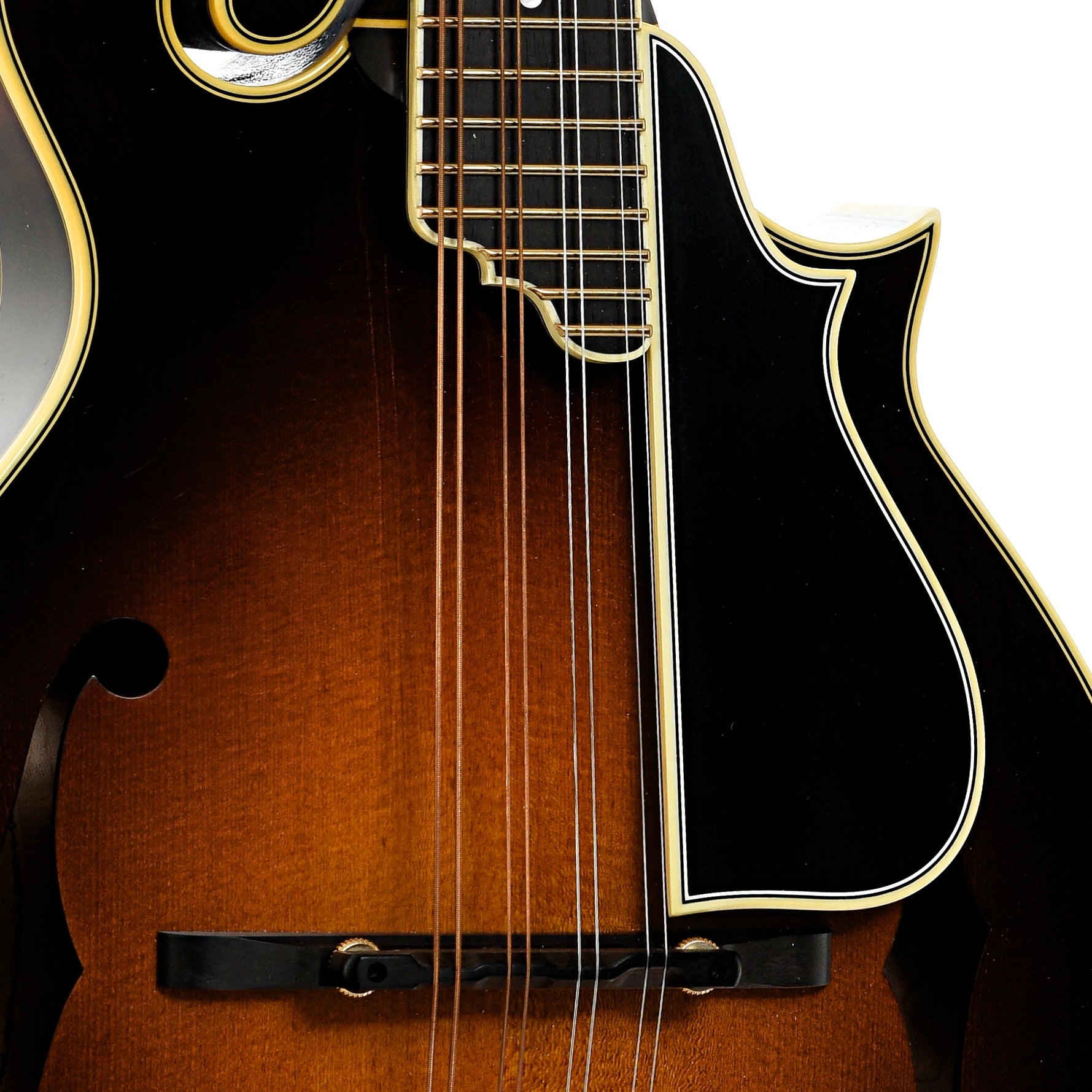 Bridge and pickguard of Ellis F-5 Reserve Mandolin (2016)