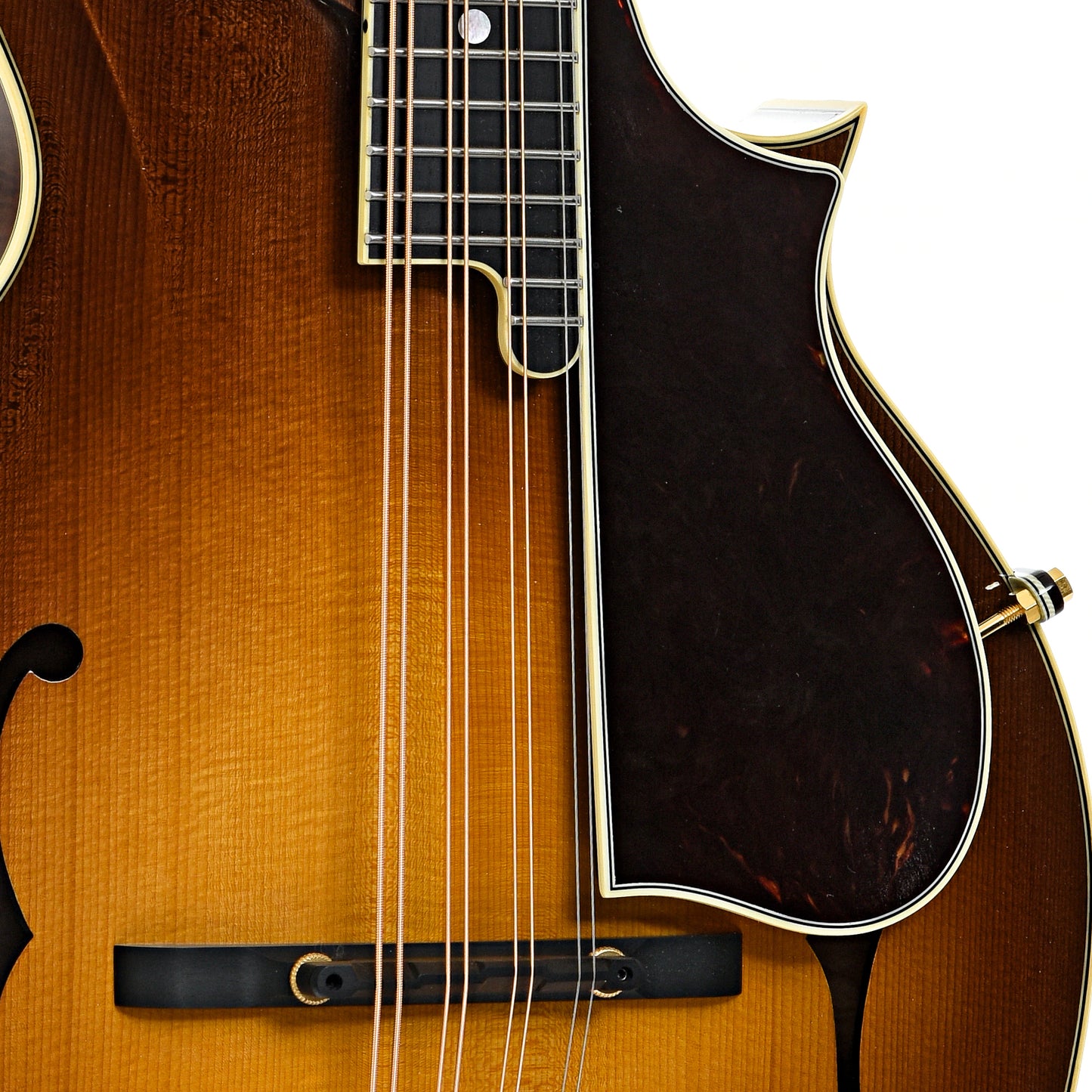 Bridge and pickguard of Poe PH-5 Mandola