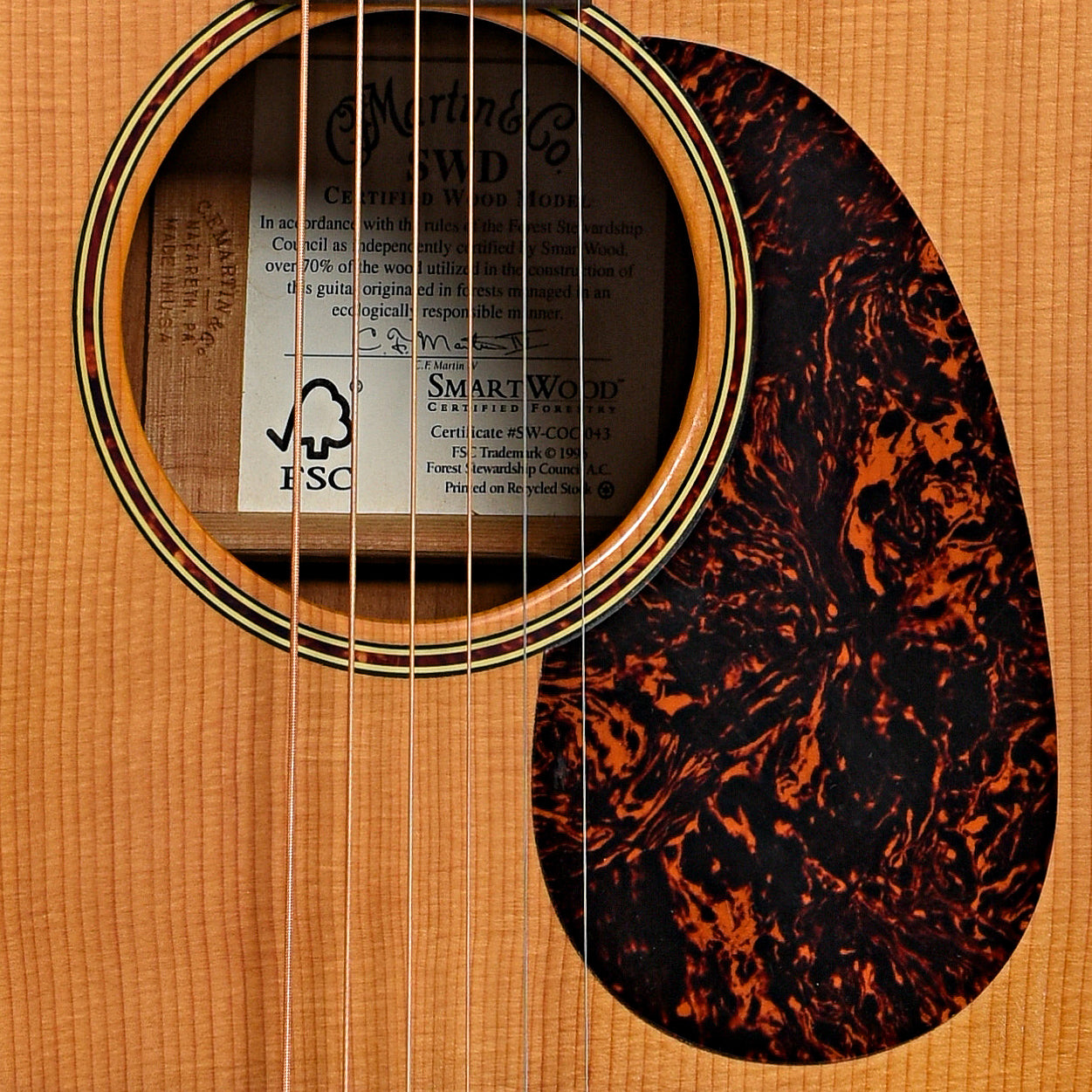 Soundhole of Martin SWD Acoustic Guitar