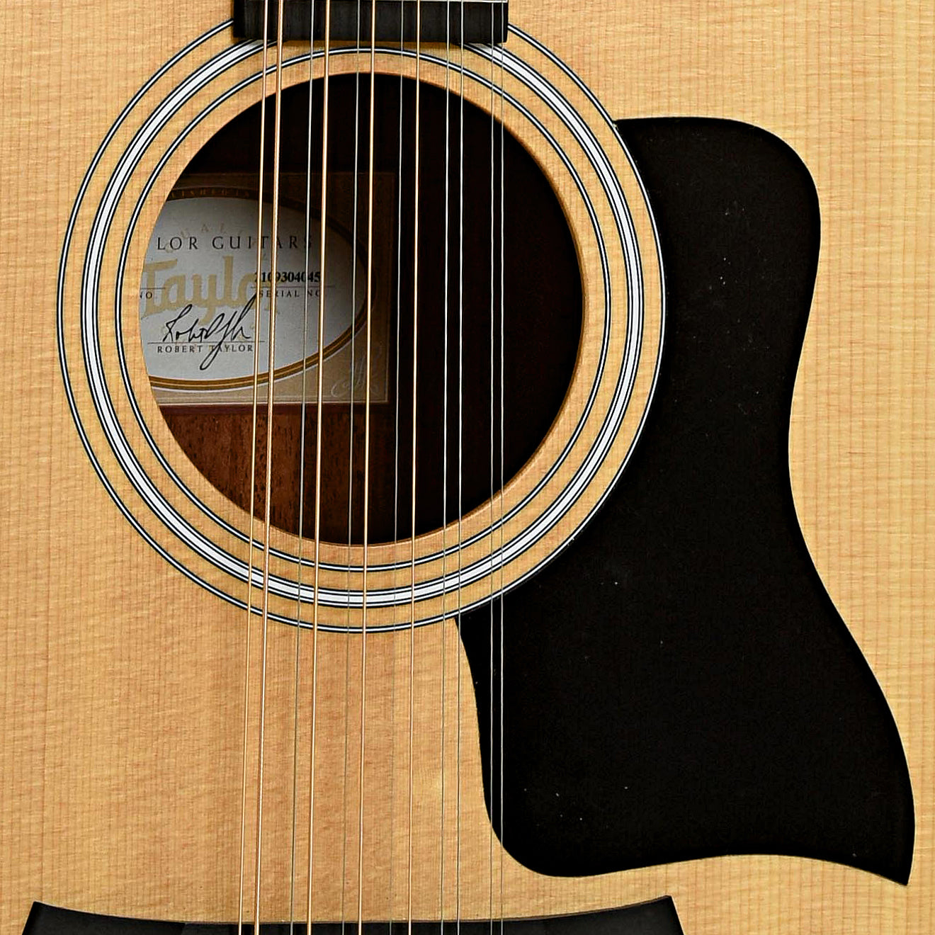 Soundhole of Taylor 150e 12-String Guitar 