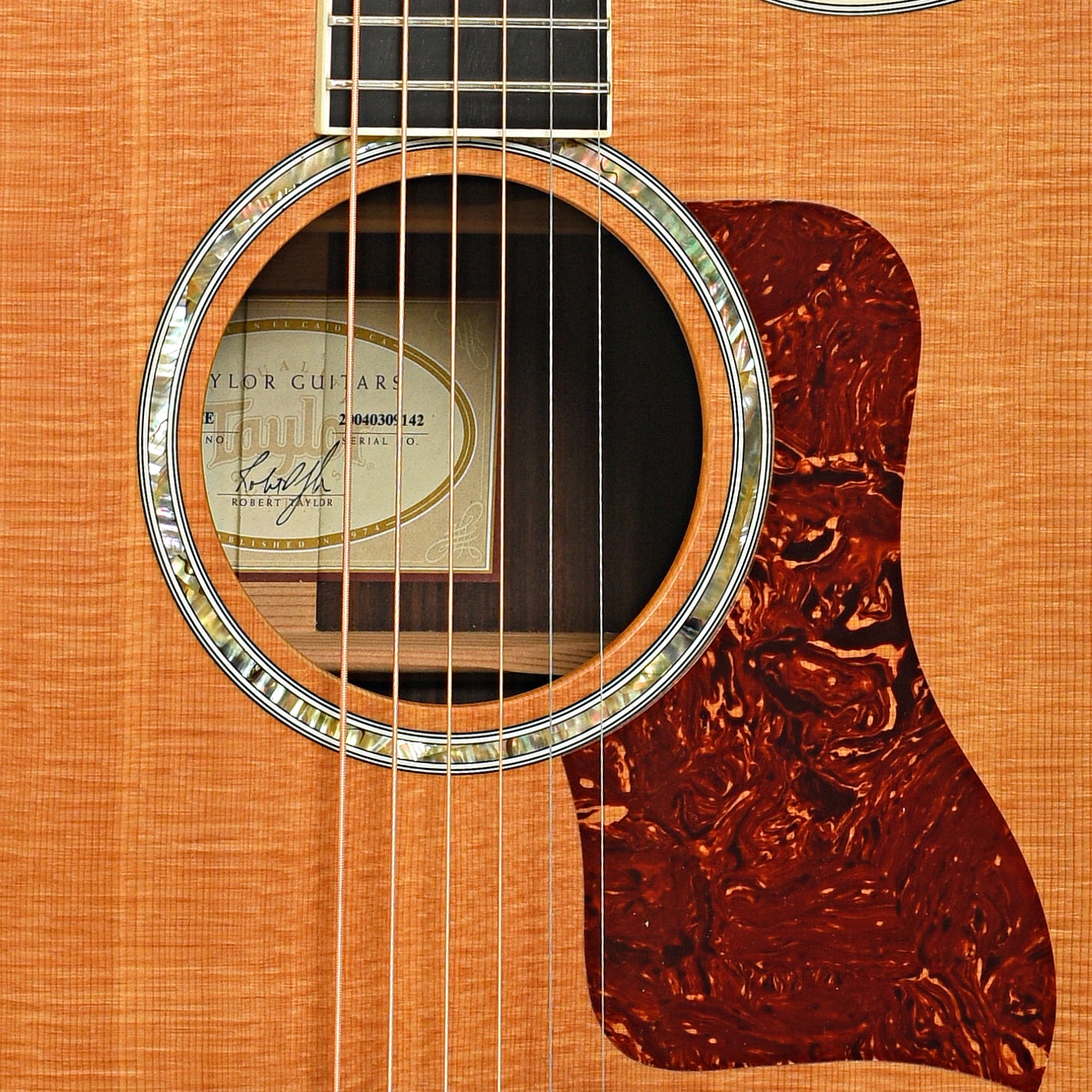 Sound hole of Taylor 810-CE Acoustic-Electric Guitar (2004)