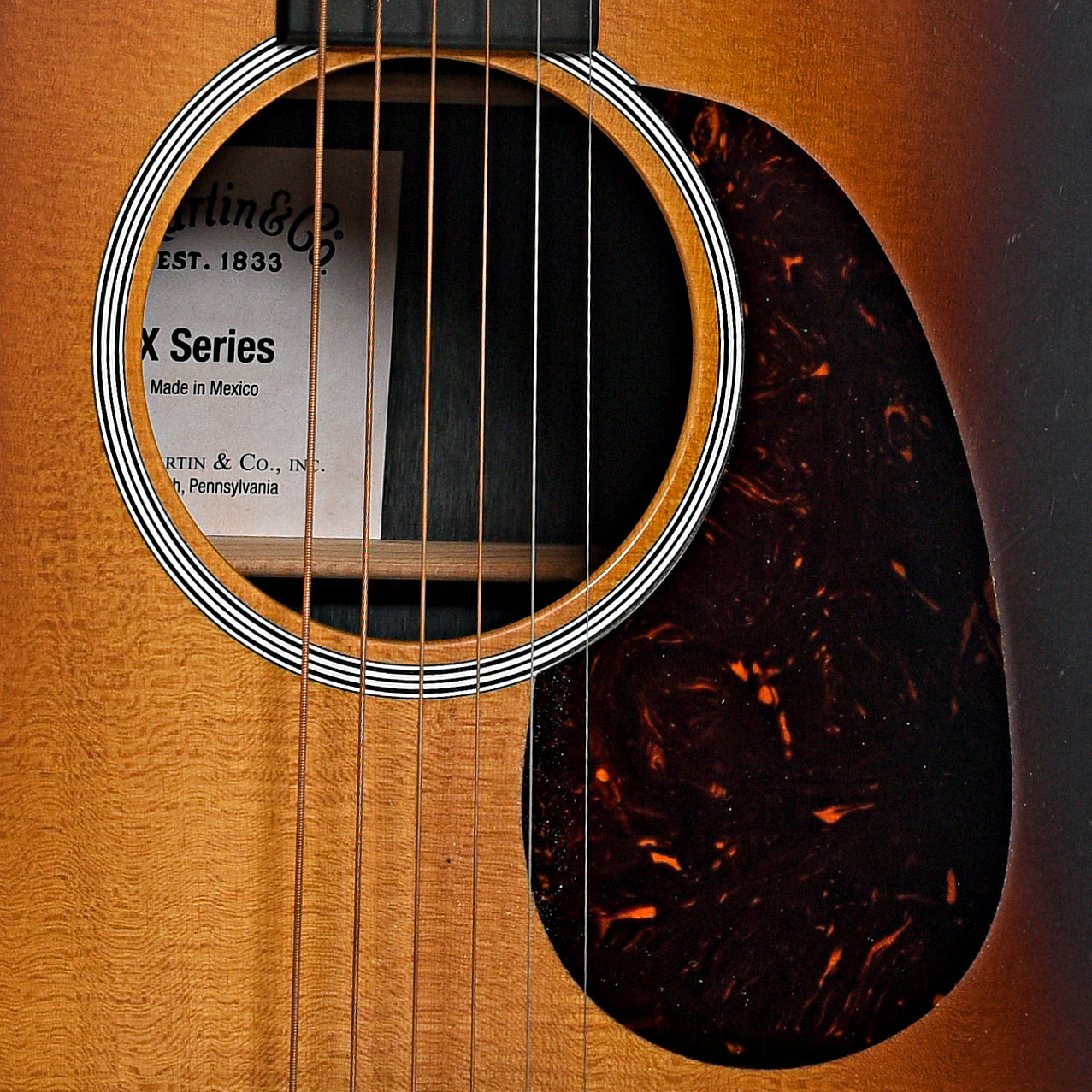 Soundhole of Martin DX1AE Macassar Burst Acoustic Guitar (2019)