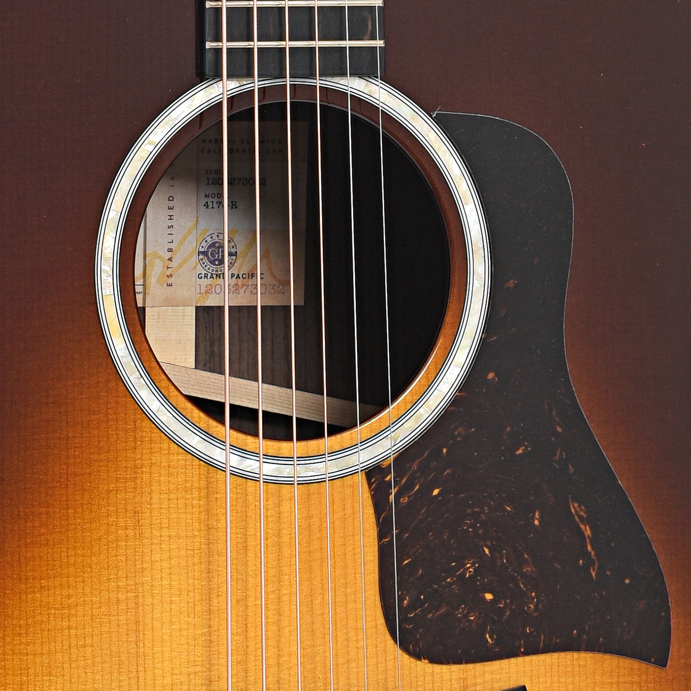 Sound hole of Taylor 417e Acoustic