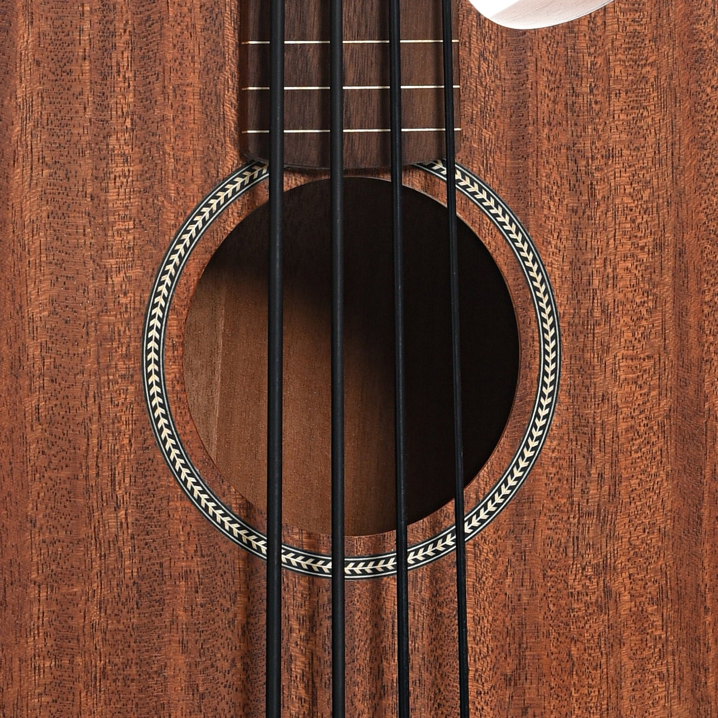 Sound hole of Gold Tone Fretless M-Bass 