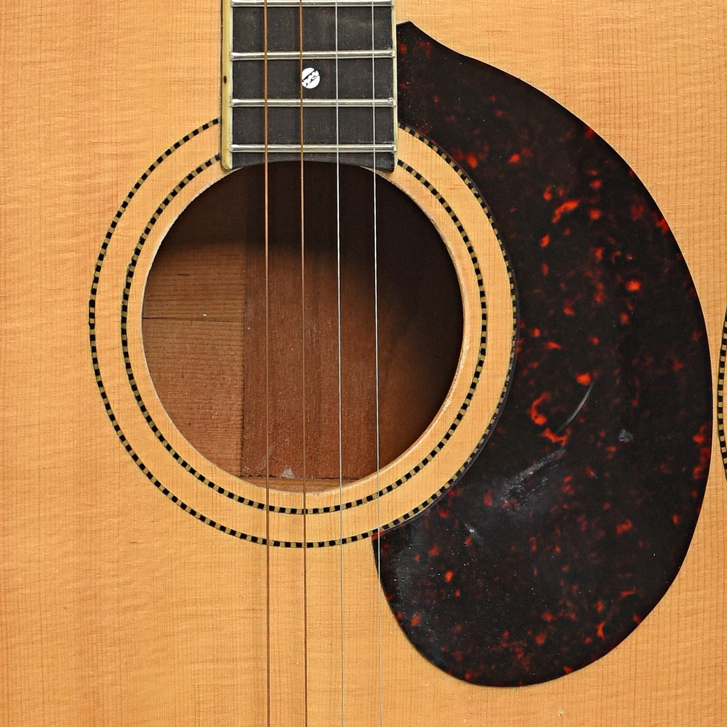 Fairchild Tenor Guitar (2008)