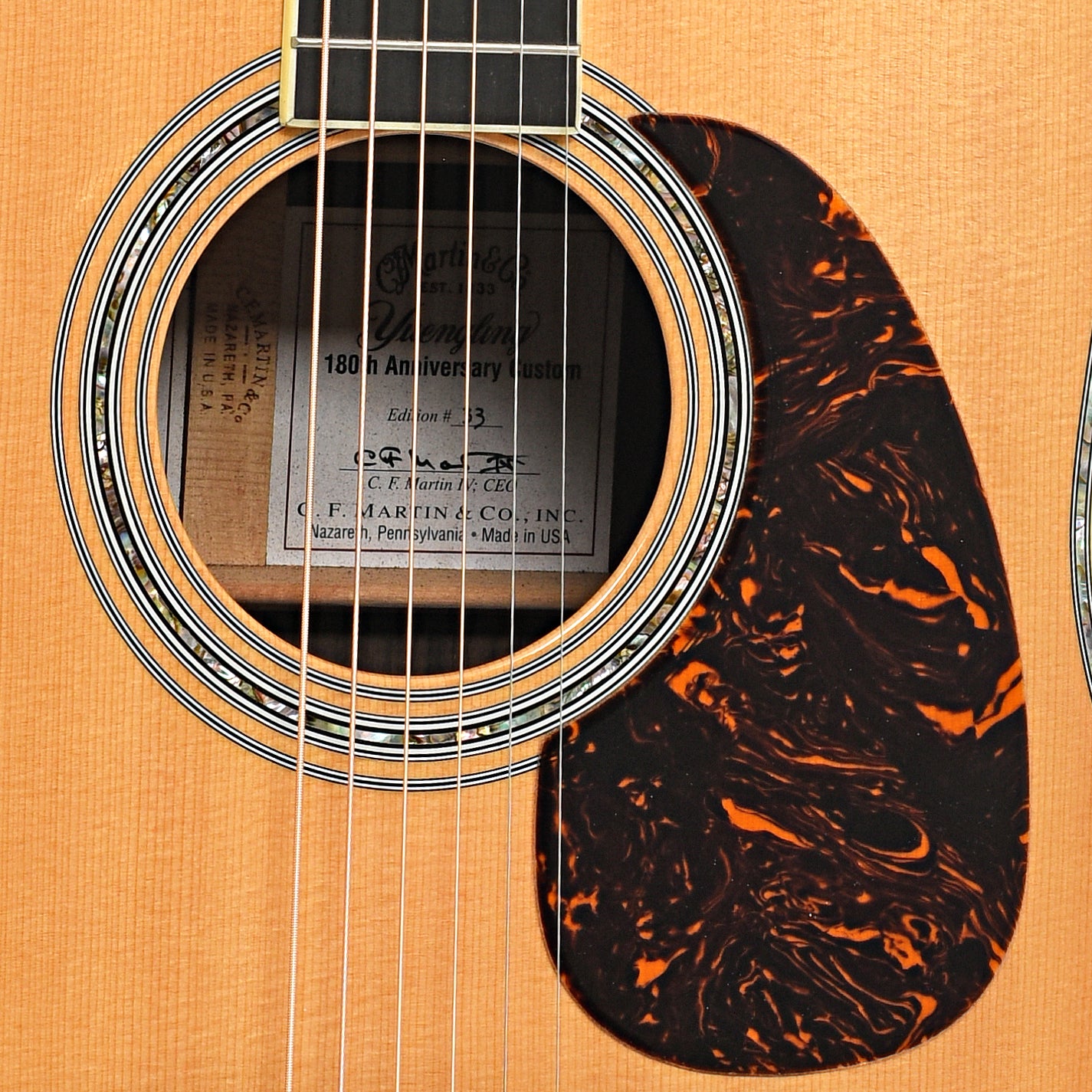 Sound hole and pickguard of Martin Yuengling Custom D-41 Special Acoustic Guitar (2009)