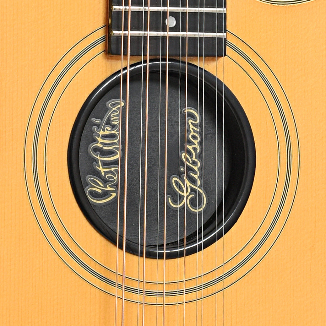 Gibson Chet Atkins SST 12-String Acoustic-Electric Guitar (1990) – Elderly  Instruments