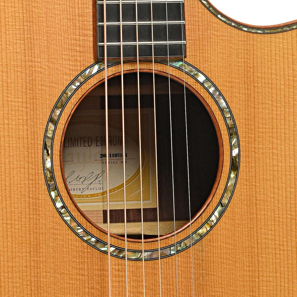 Sound hole of Taylor Cocobolo GA Acoustic-Electric Guitar (2008)