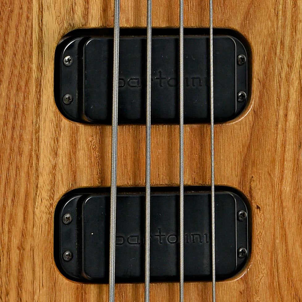 Pickups of Washburn XB-920 4-String Electric Bass