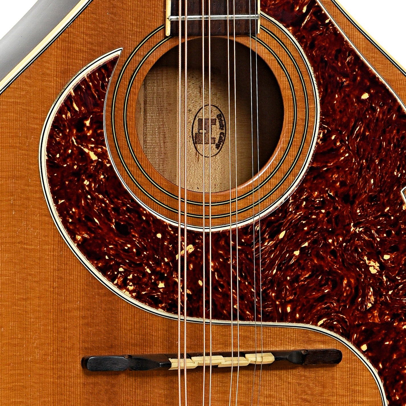 Bridge and sound hole of Trinity College TC-375 Bouzouki