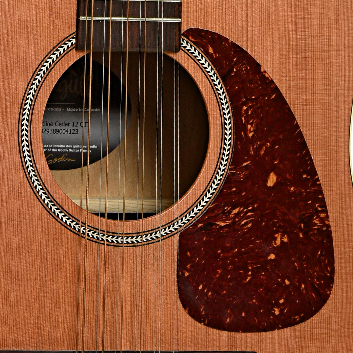 Soundhole of Seagull Coastline Cedar 12QIT 