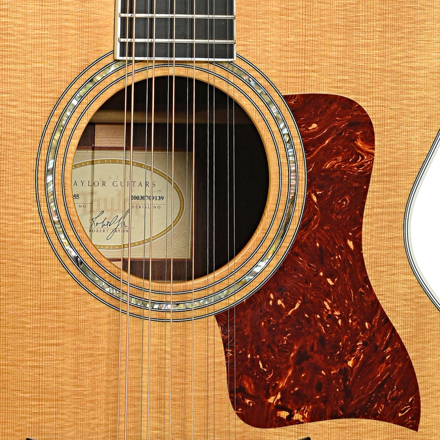 Sound hole of Taylor 855 12-String Acoustic Guitar (2003)