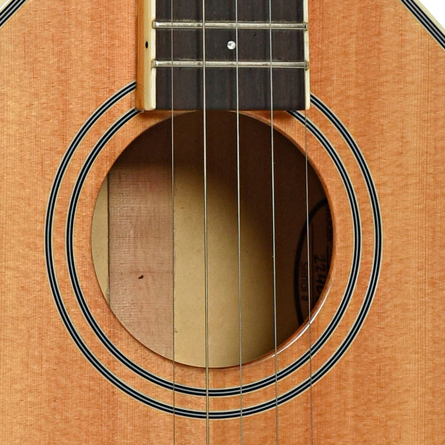 Sound hole of Gold Tone Banjola+ with Pickup