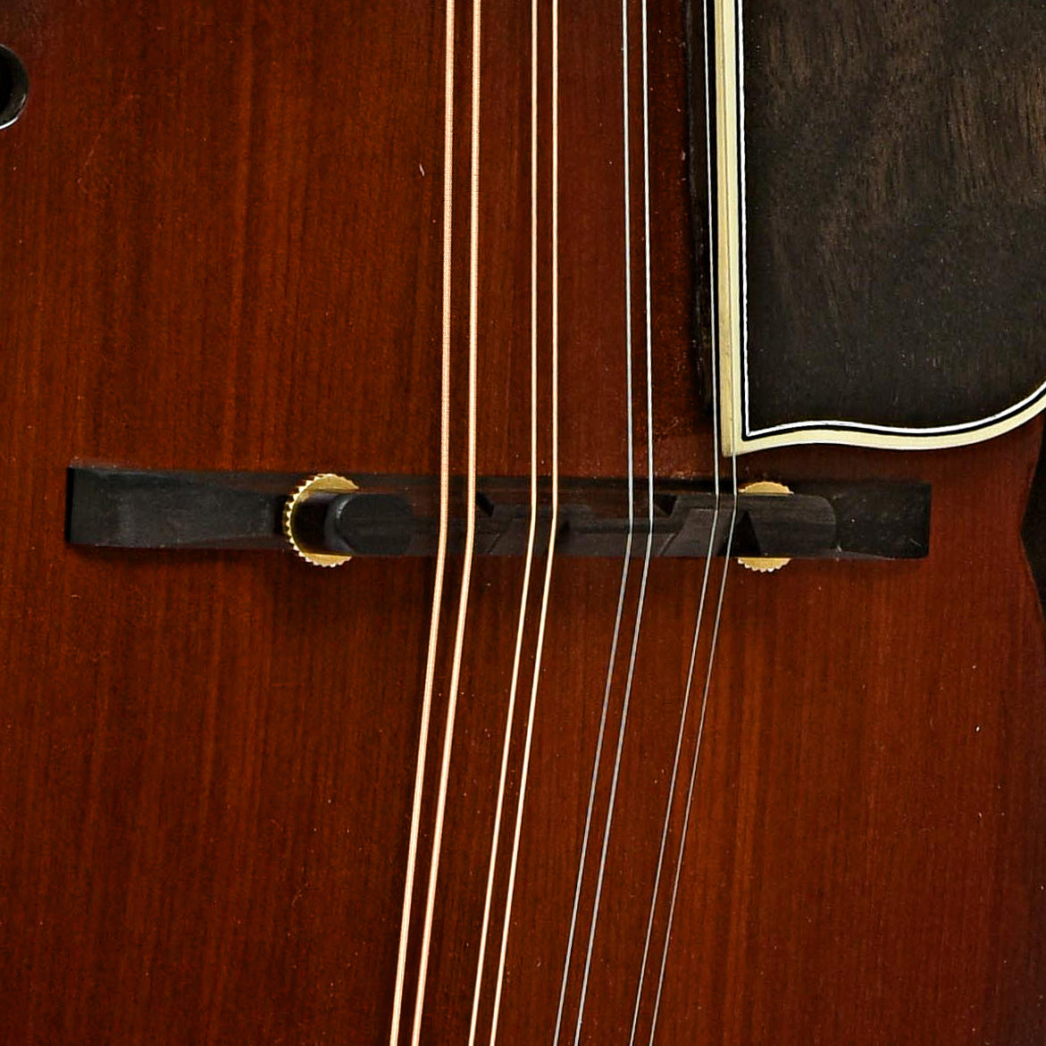 Bridge of Kelley F-5 Mandolin 