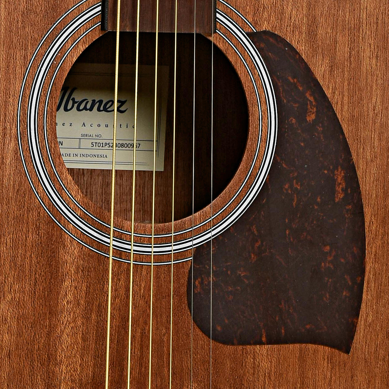 Soundhole of Ibanez PF54CE Acoustic-Electric Dreadnought Guitar