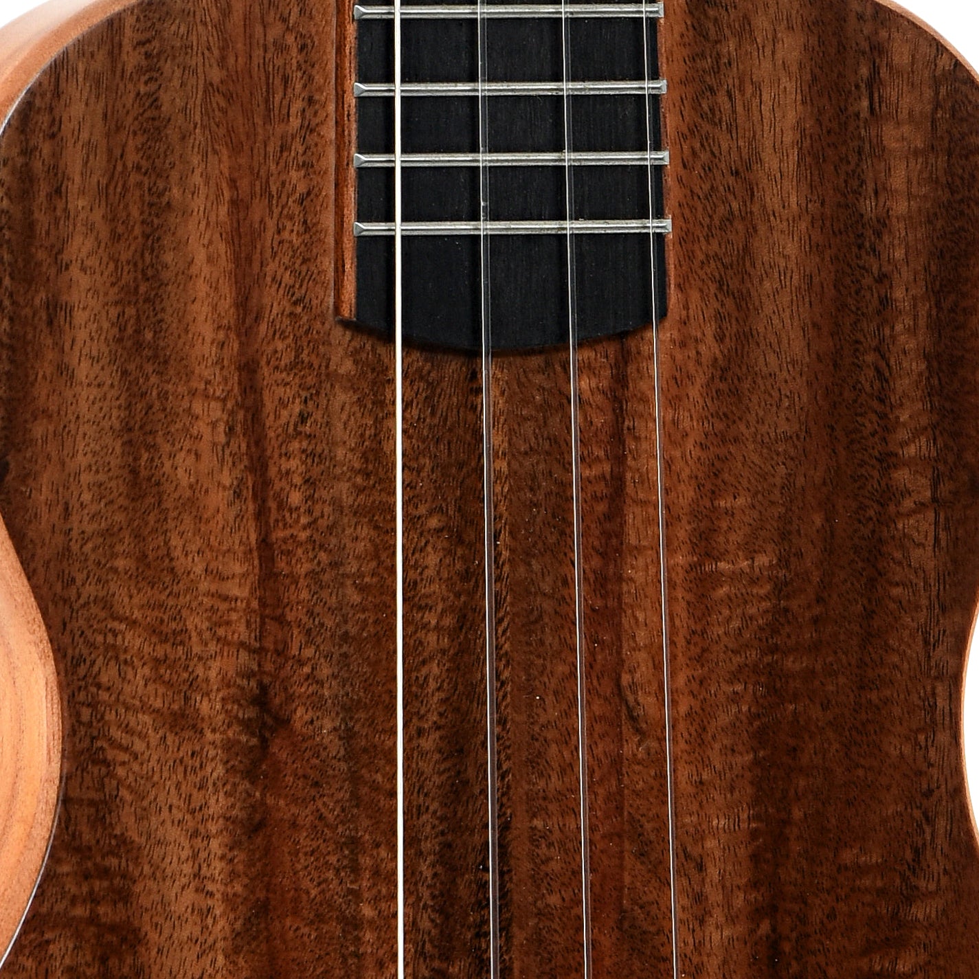 Kala KA-SB-ACA-T Electric Ukulele (recent)