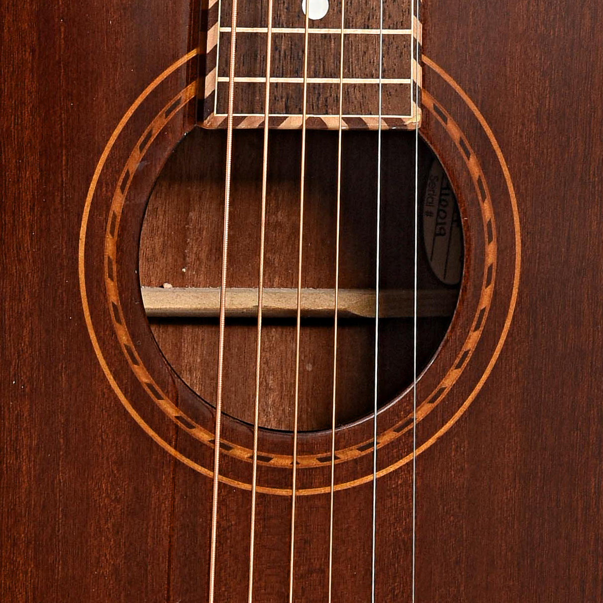 Soundhole of Gold Tone SM Weissenborn Plus & Case