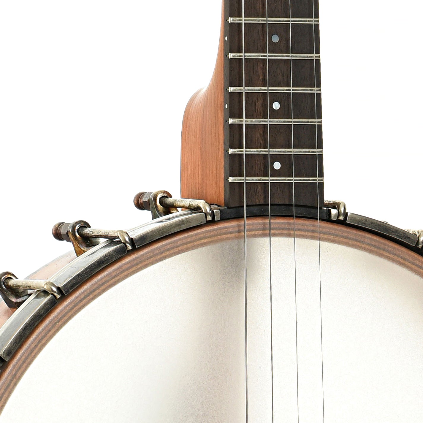 Front Neck joint of Ode Magician 11" Tenor Banjo