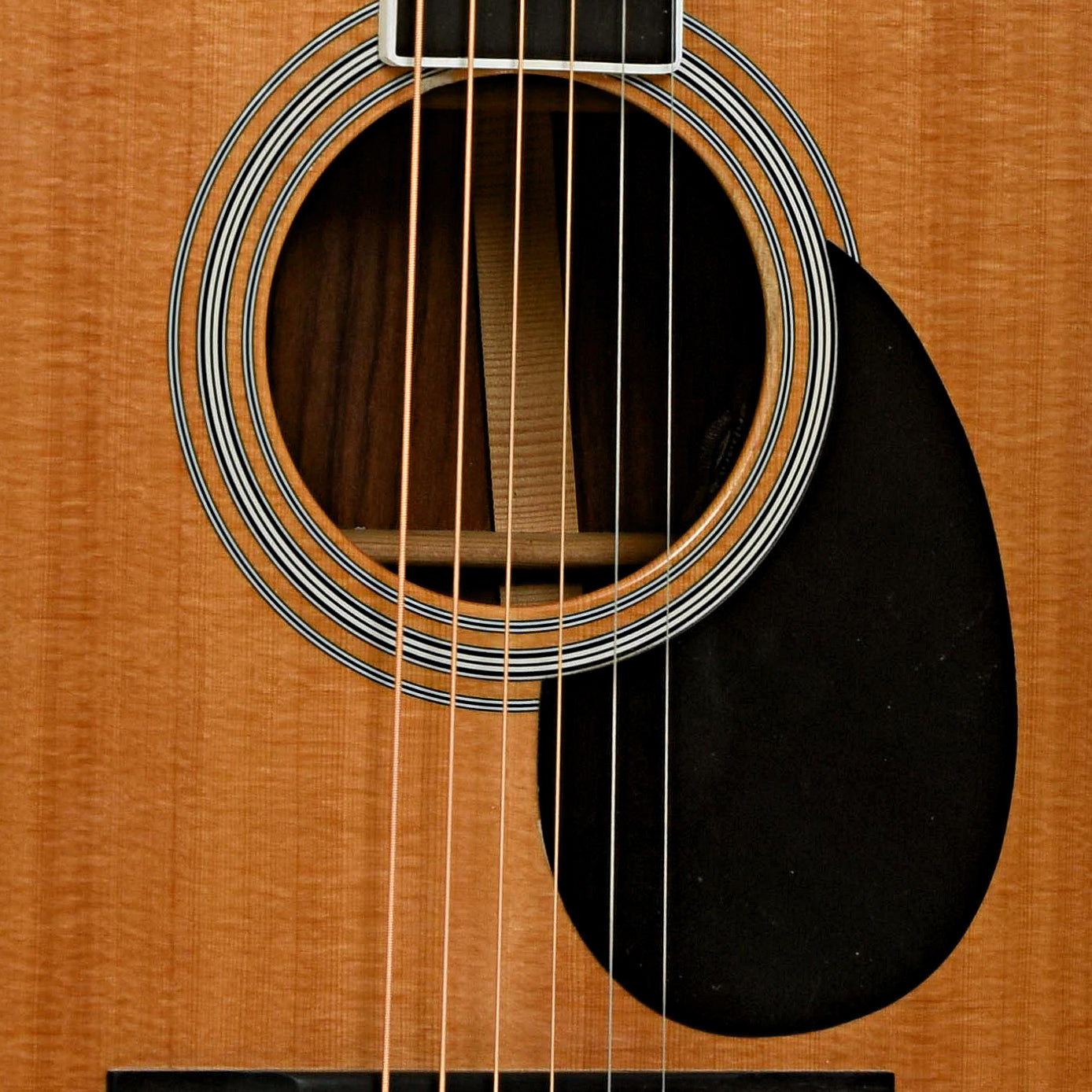 Soundhole of Martin OMC-35E Acoustic-Electric Guitar 