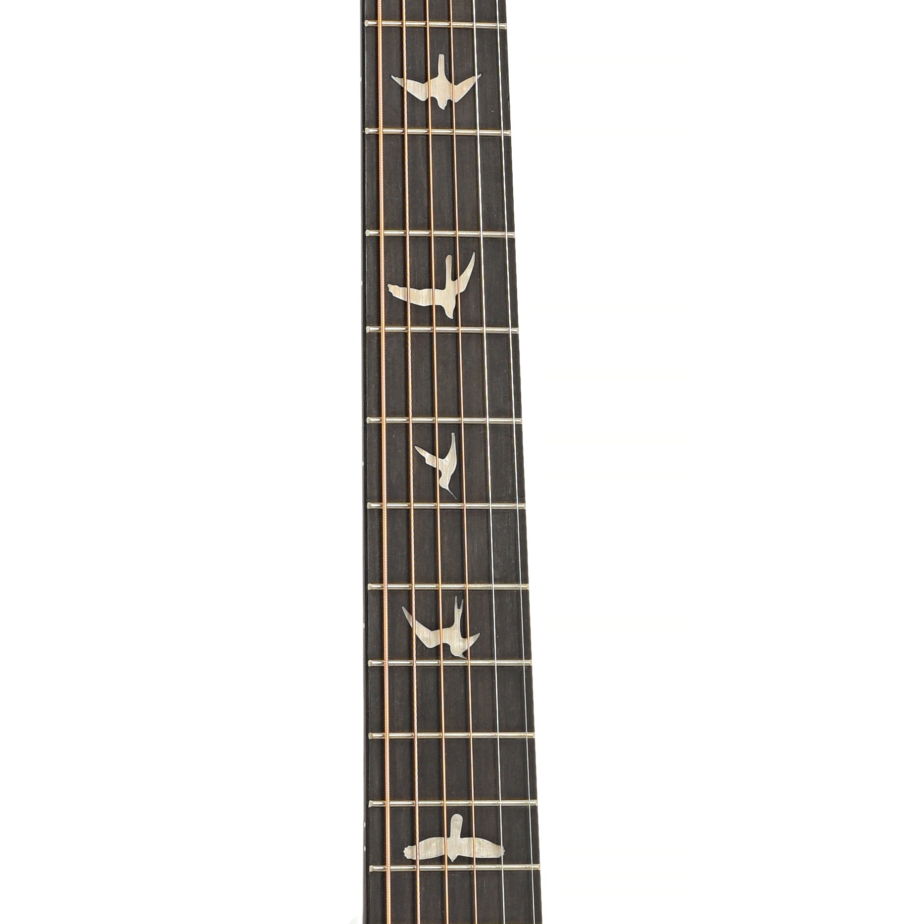 Fretboard of PRS Se A40E Angelus Cutaway Acoustic Guitar