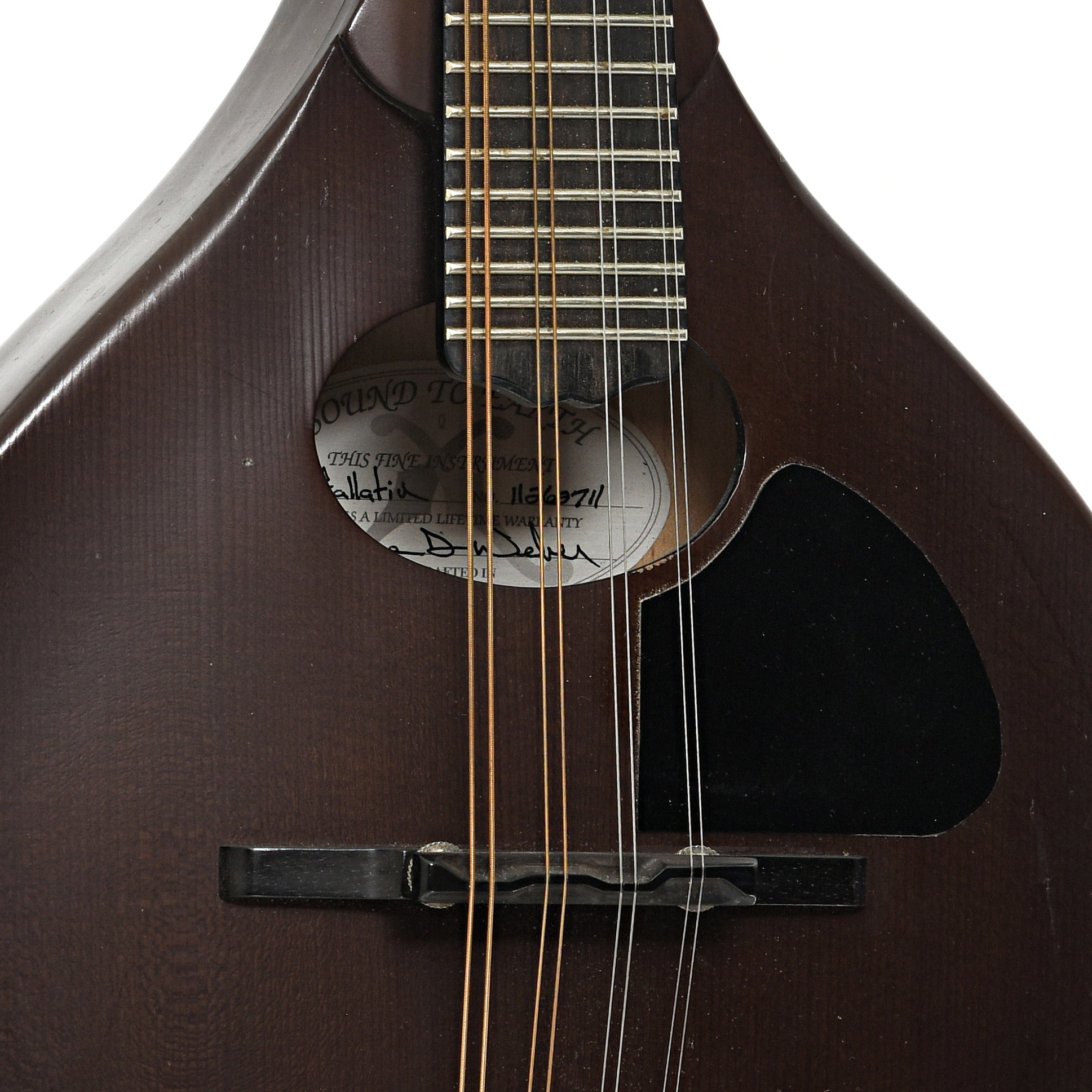 Bridge and soundhole of Weber Gallatin A Mandolin