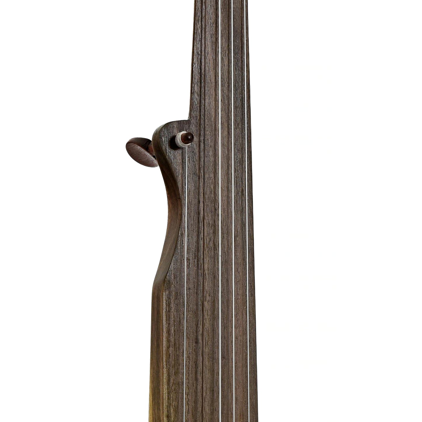 Fretboard of Menzies Fretless Gourd Banjo #588