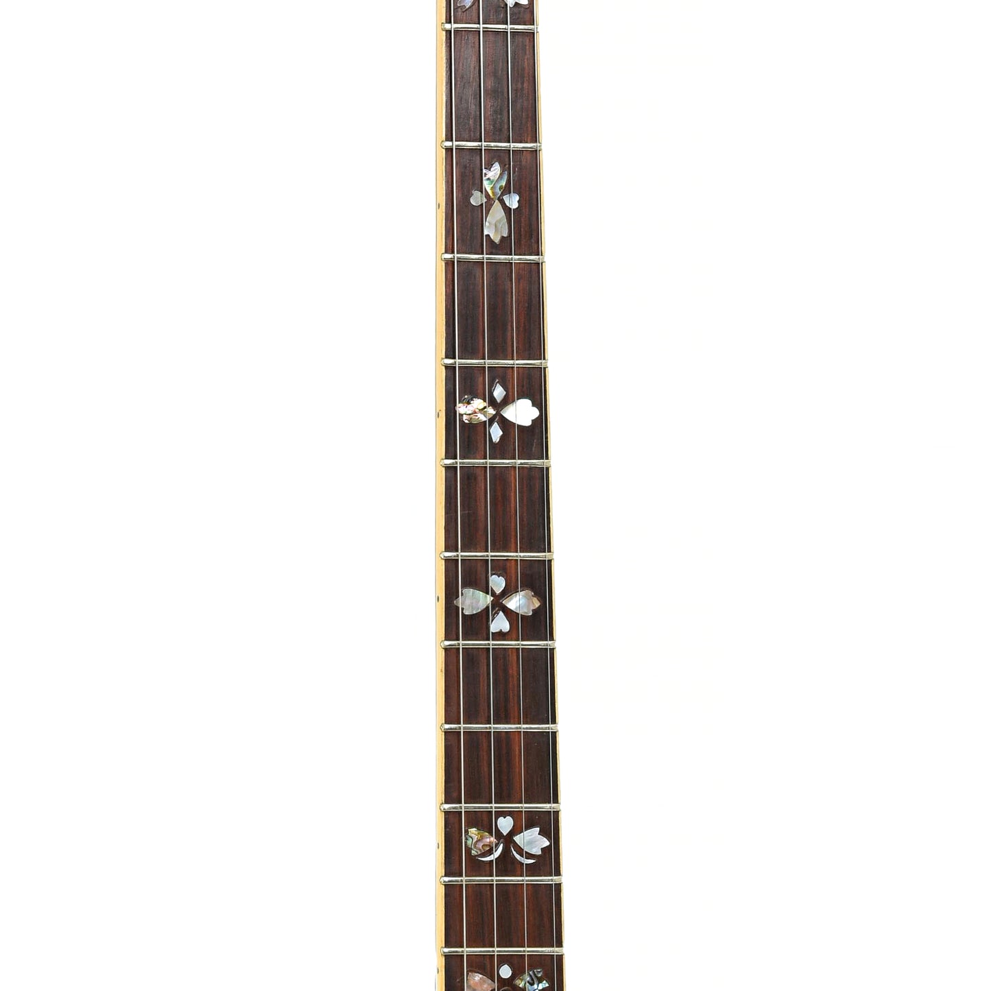 Fretboard of McConnell Plectocaster Electric Plectrum Banjo