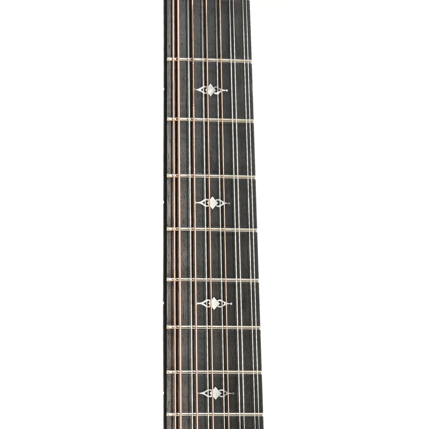 Fretboard of Taylor 362ce 12-String Acoustic-Electric Guitar 