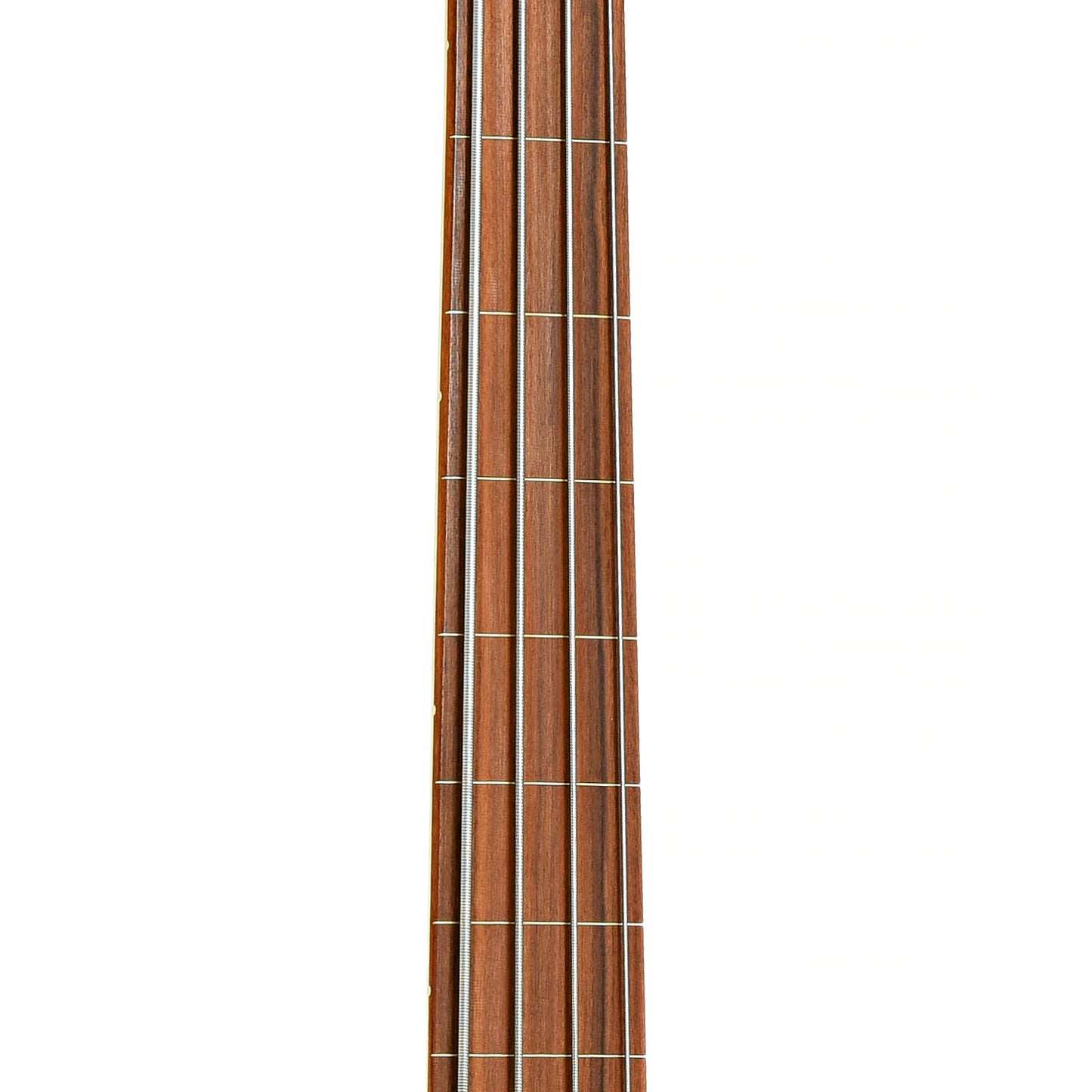 Fretboard of Fender Fretless Standard Jazz Bass