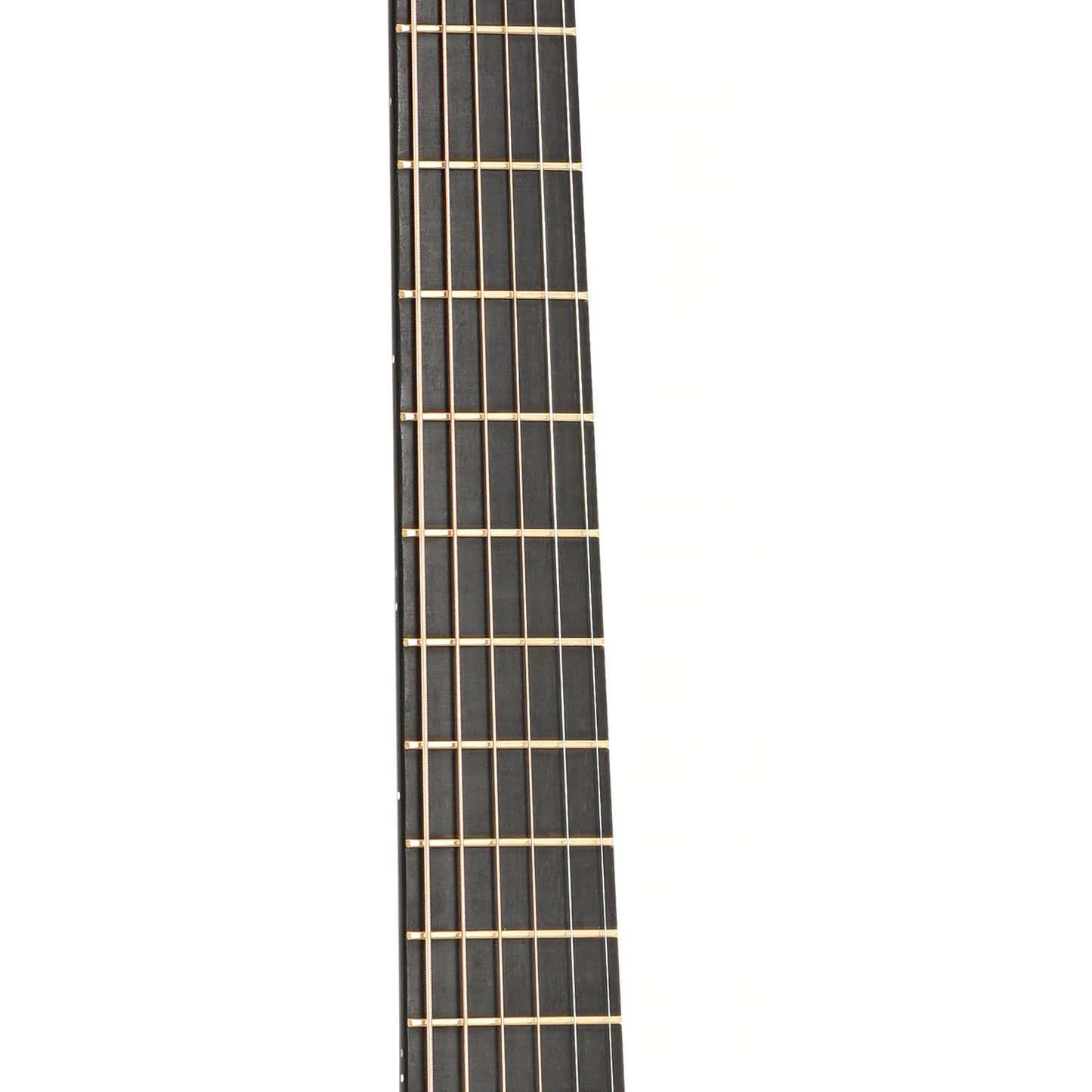 Fretboard of Sergei de Jonge 000-Size Acoustic Guitar (2009)