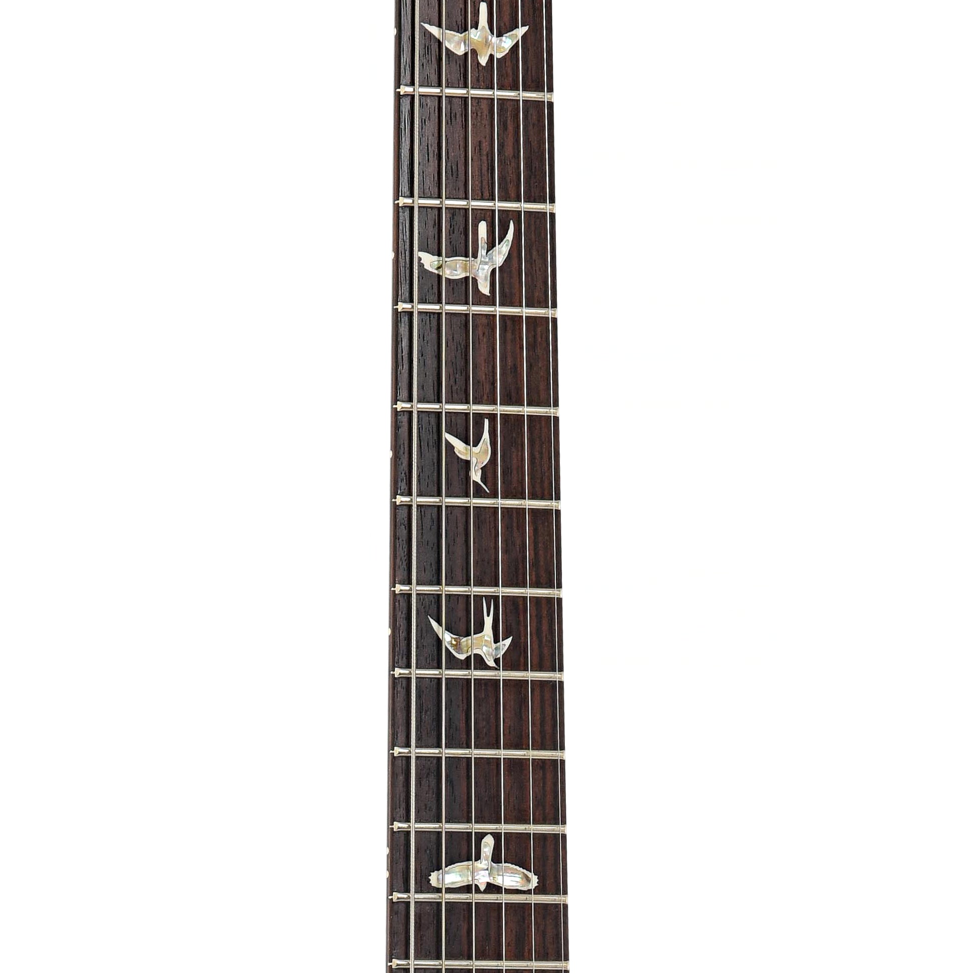 Fretboard of PRS Custom 24 Electric Guitar