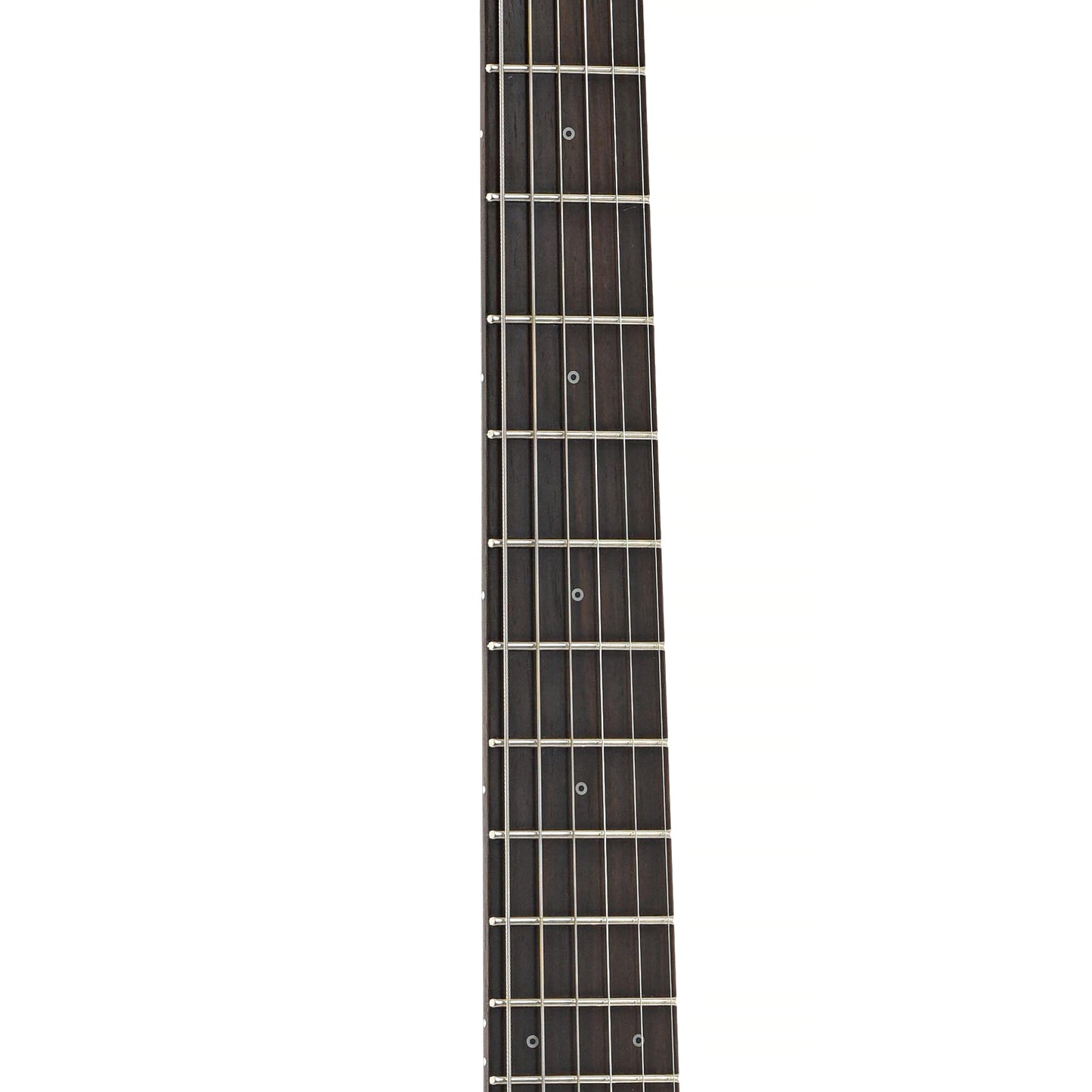 Fretboard of Friedman Vintage S Electric Guitar (2018)