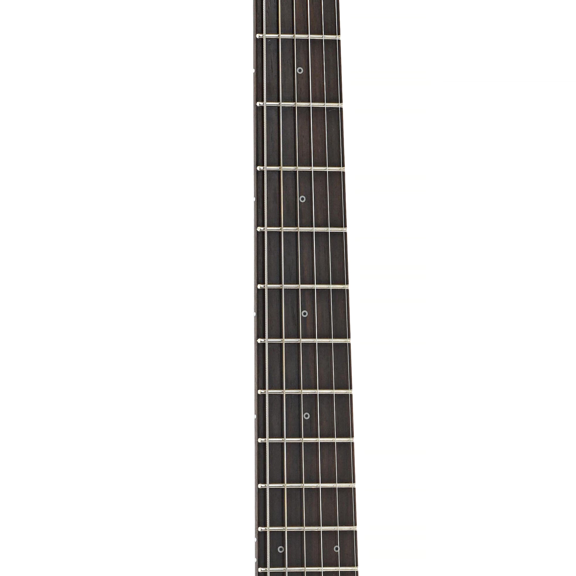 Fretboard of Friedman Vintage S Electric Guitar (2018)