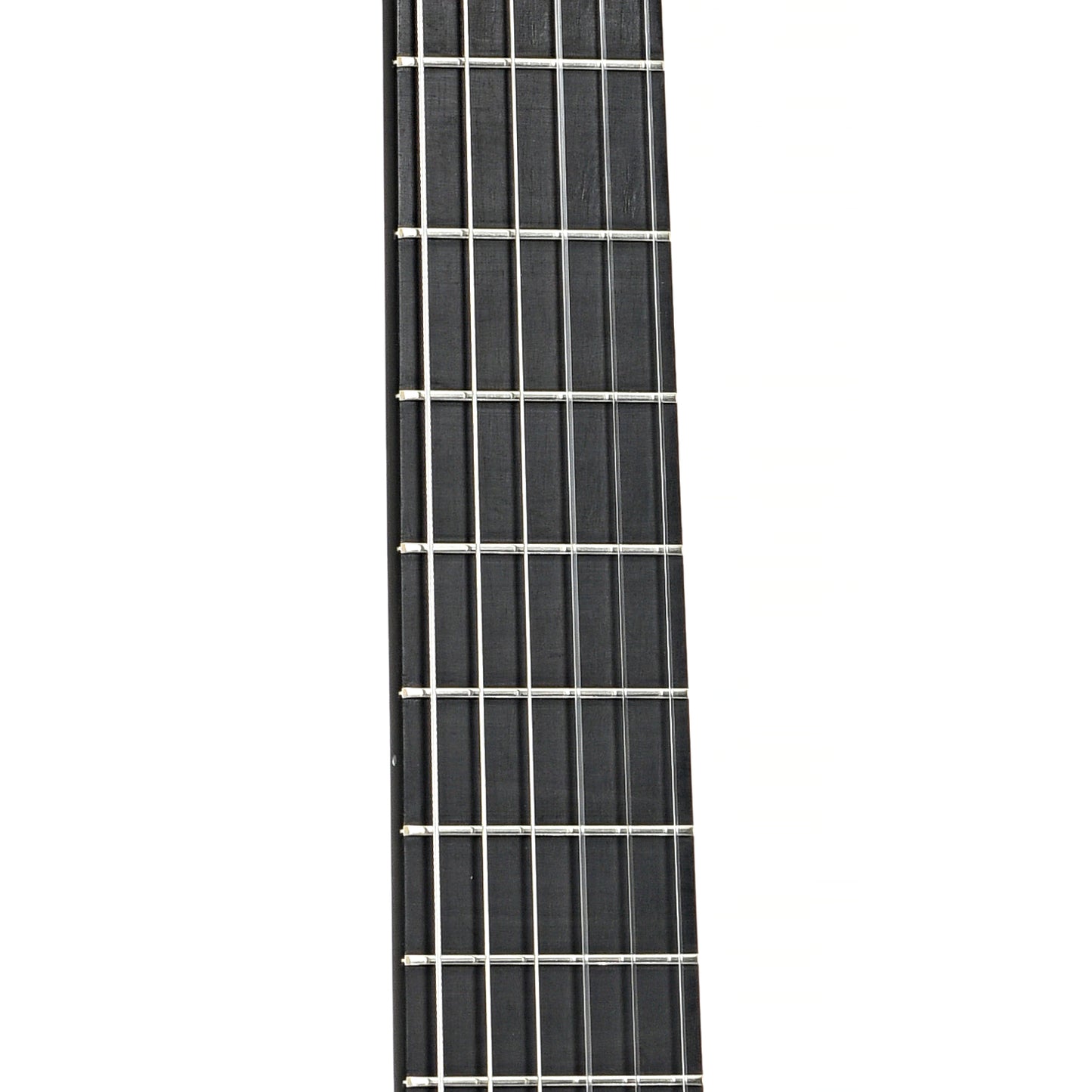 Fretboard of Richard Prenkert Classical Guitar