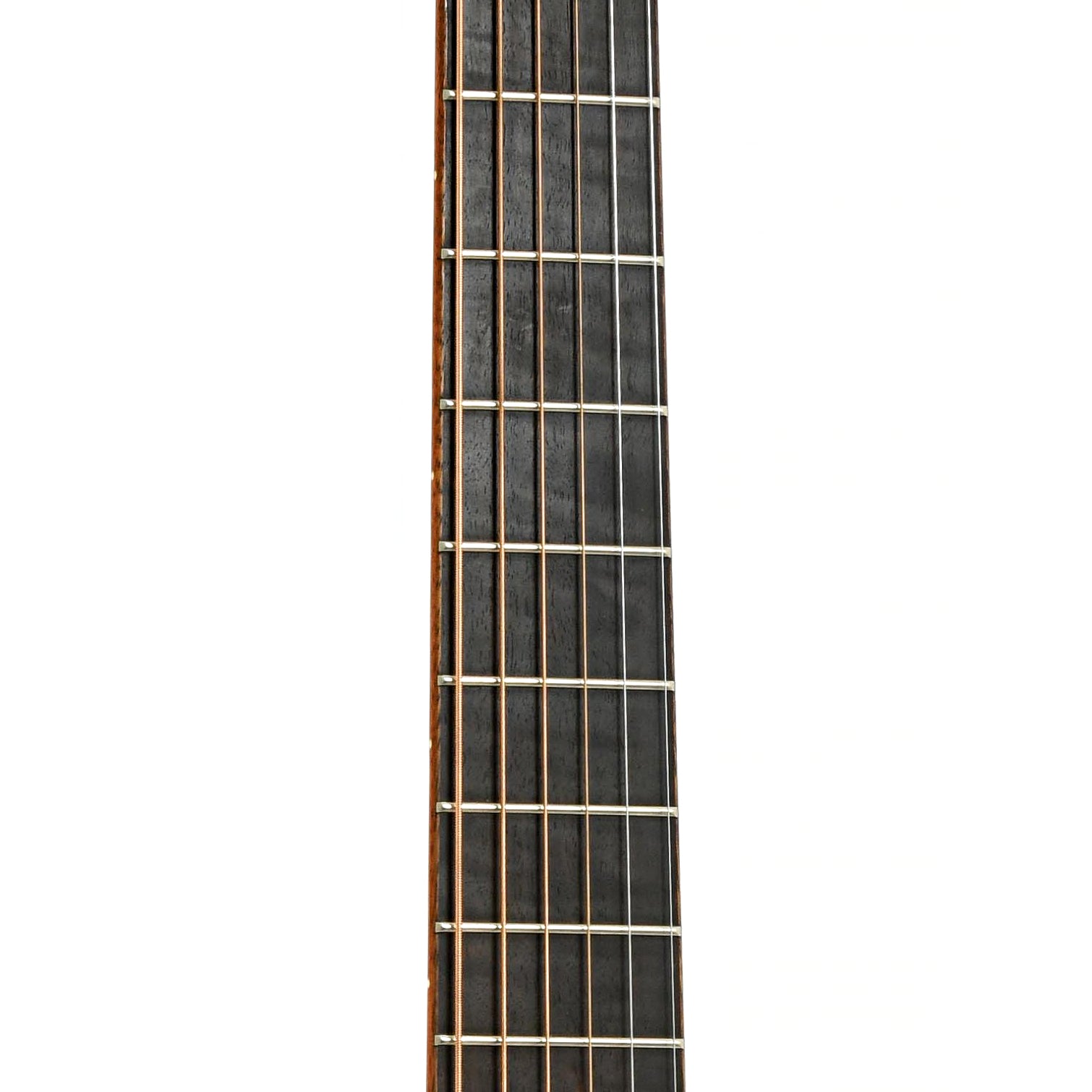 Fretboard of Taylor 12-Fret GA LTD Acoustic-Electric Guitar