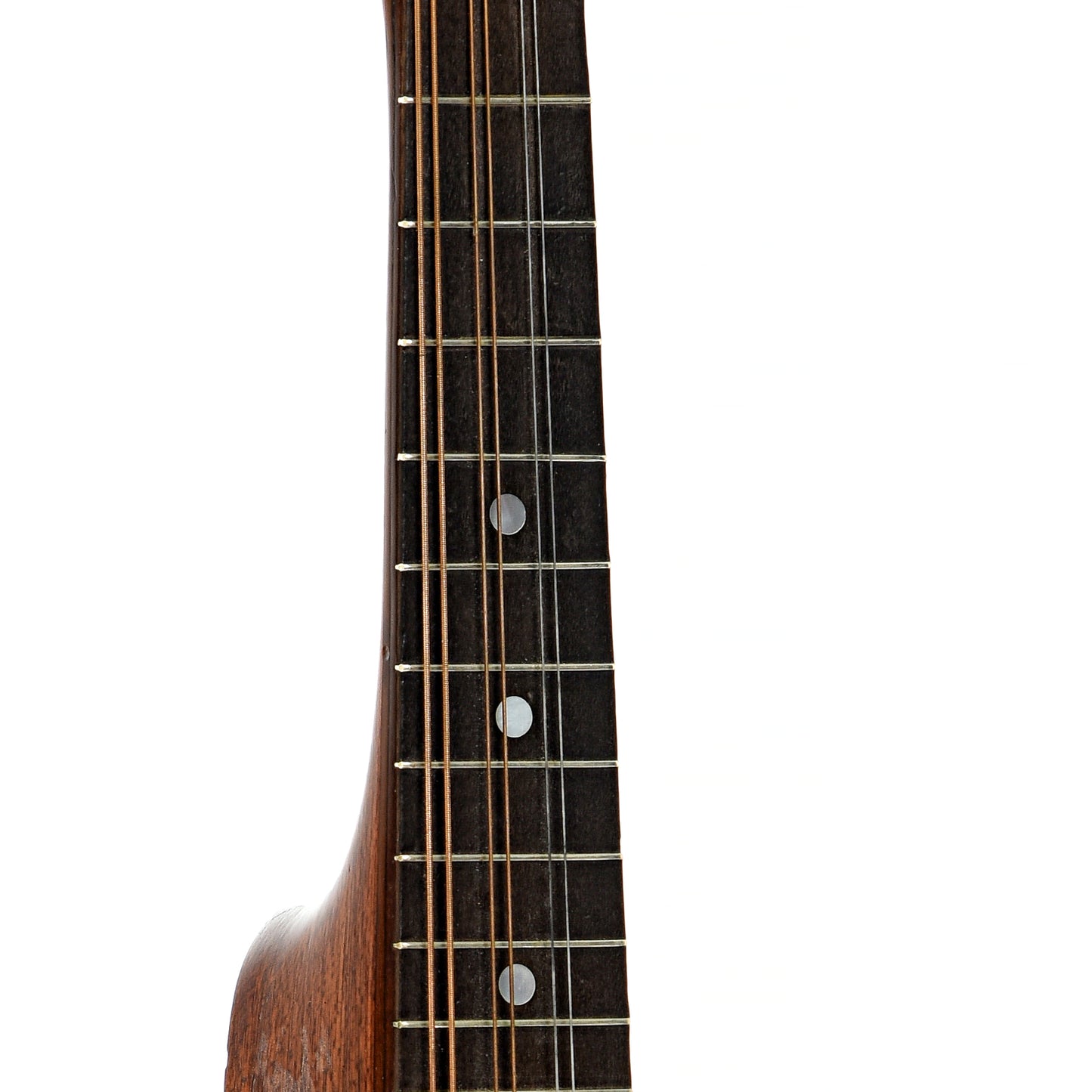 Fretboard of Bacon Style C Banjo Mandolin