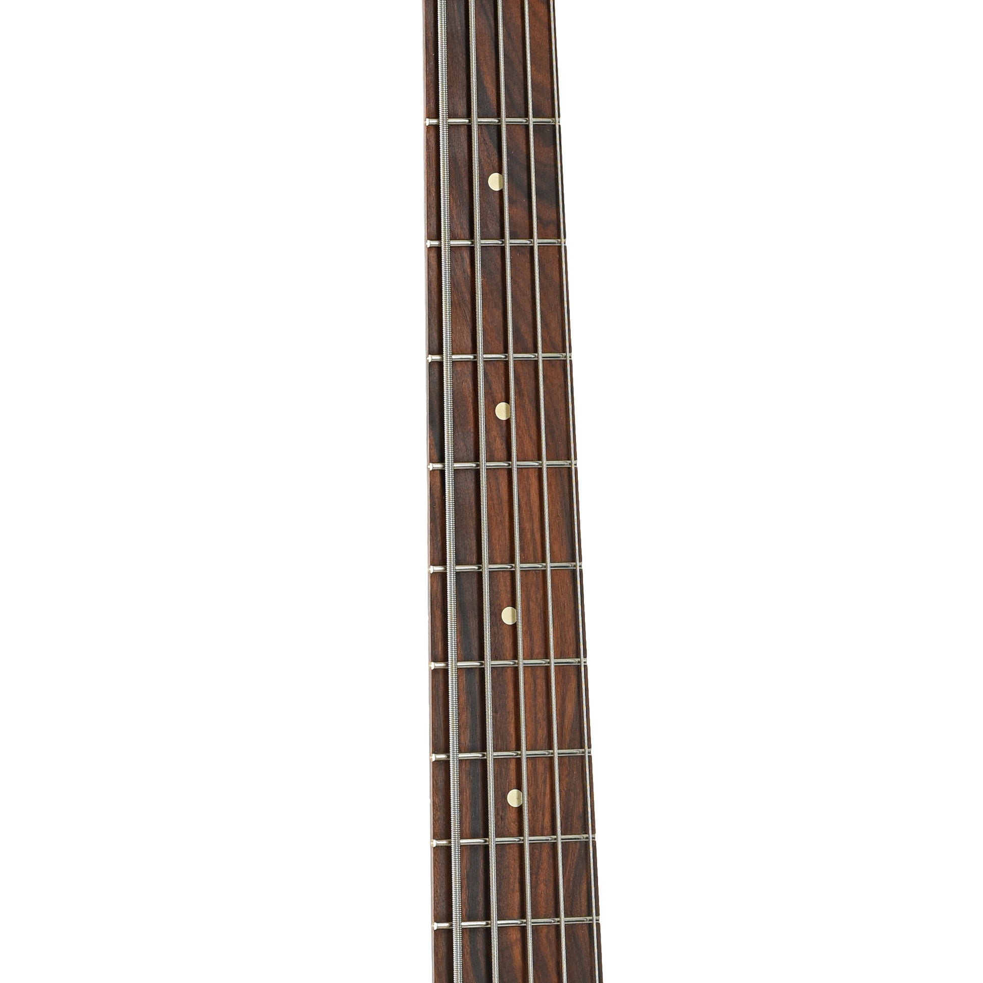 Fretboard of Fender Standard Jazz Bass V 5-String Electric Bass (2017)